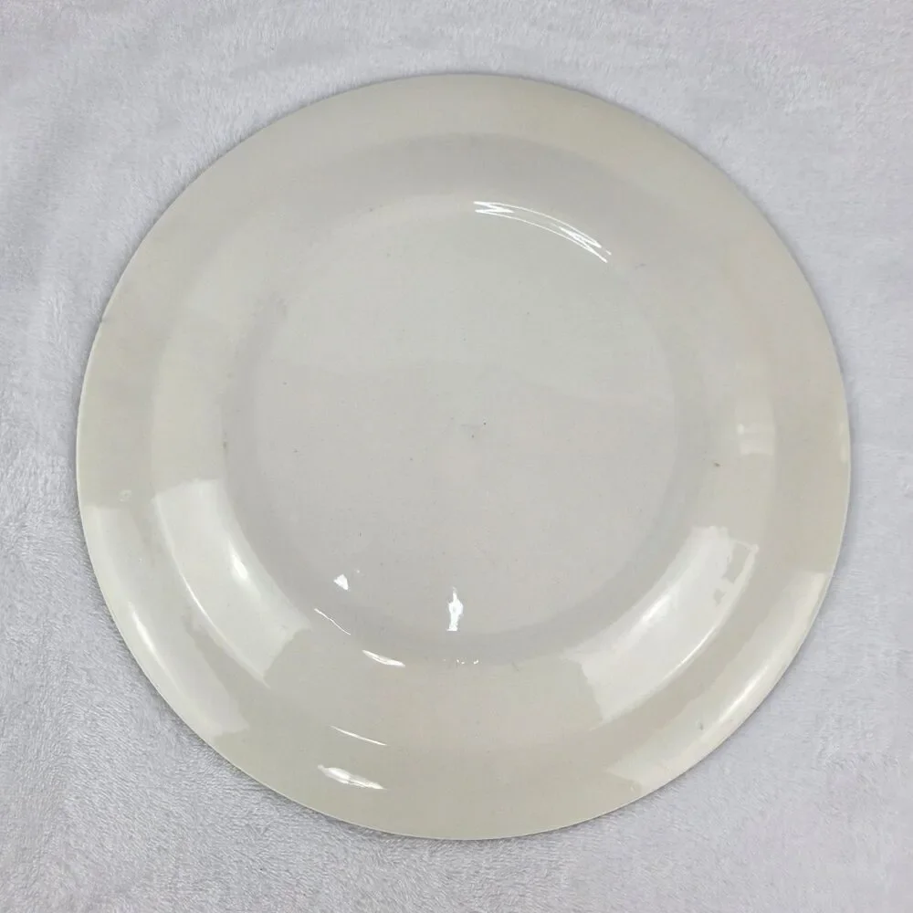 Vintage Royal China Currier & Ives Blue Getting Ice Serving Platter 12.25